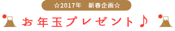 お年玉プレゼント