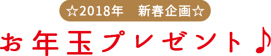 お年玉プレゼント