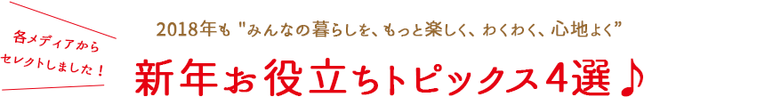 アイランドスタッフからのご挨拶